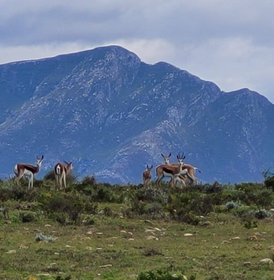 4 Bedroom Property for Sale in Mossel Bay Rural Western Cape